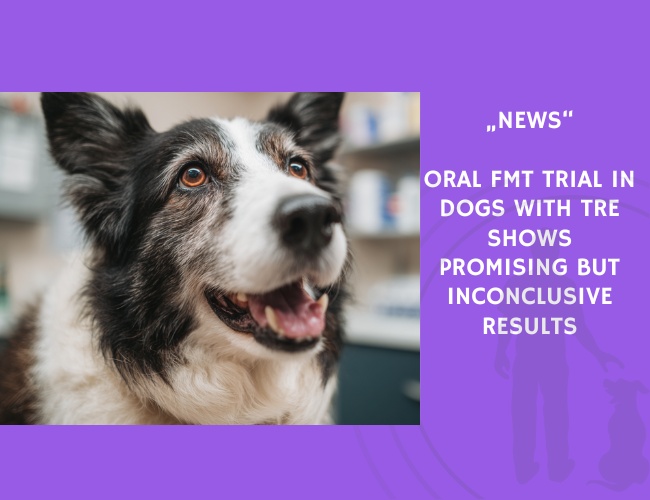 News-Oral FMT Trial in Dogs with TRE Shows Promising but Inconclusive Results