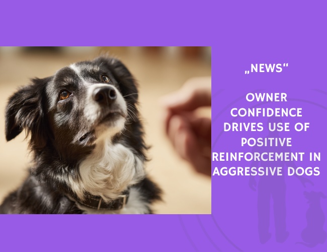 News-Owner Confidence Drives Use of Positive Reinforcement in Aggressive Dogs