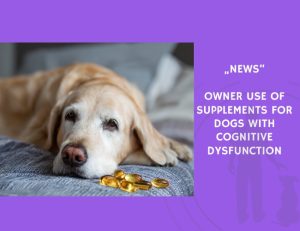 News-Owner Use of Supplements for Dogs with Cognitive Dysfunction