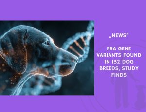 News-PRA Gene Variants Found in 132 Dog Breeds, Study Finds