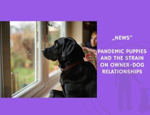 News-Pandemic Puppies and the Strain on Owner-Dog Relationships