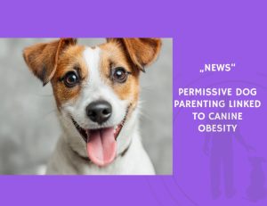 News-Permissive Dog Parenting Linked to Canine Obesity