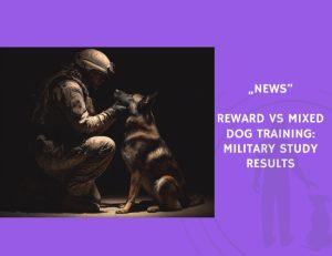 News-Reward vs Mixed Dog Training Military Study Results