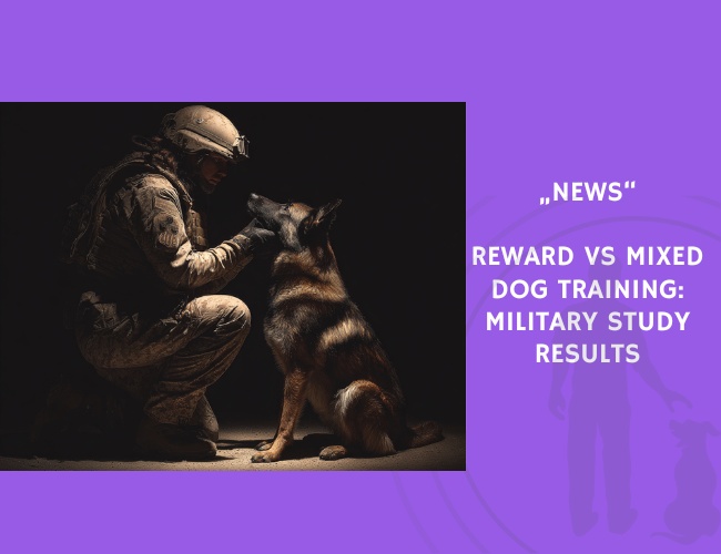 News-Reward vs Mixed Dog Training Military Study Results