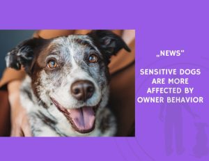 News-Sensitive Dogs Are More Affected by Owner Behavior