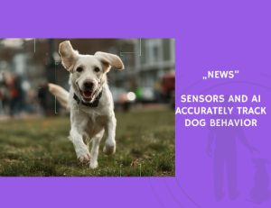 News-Sensors and AI Accurately Track Dog Behavior