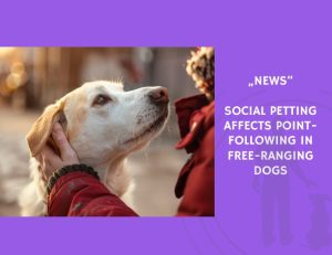 News-Social Petting Affects Point-Following in Free-Ranging Dogs