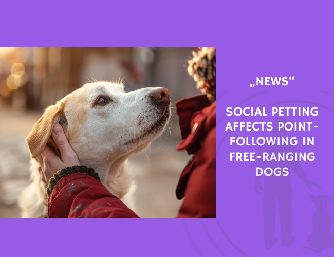 News-Social Petting Affects Point-Following in Free-Ranging Dogs