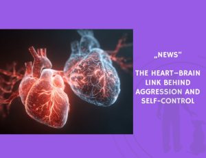 News-The Heart–Brain Link Behind Aggression and Self-Control