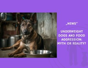 News-Underweight Dogs and Food Aggression Myth or Reality