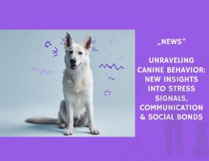 News-Unraveling Canine Behavior New Insights Into Stress Signals, Communication & Social Bonds