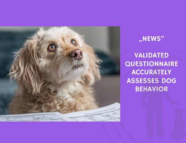 News-Validated Questionnaire Accurately Assesses Dog Behavior