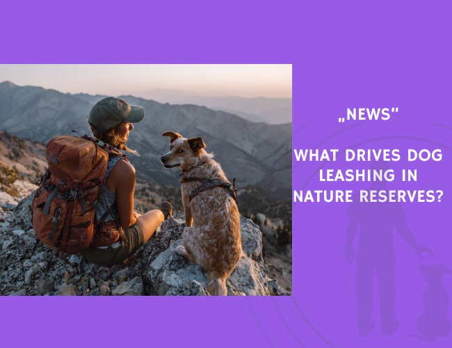 News-What Drives Dog Leashing in Nature Reserves