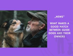 News-What Makes a Good Match Between Guide Dogs and Their Owners