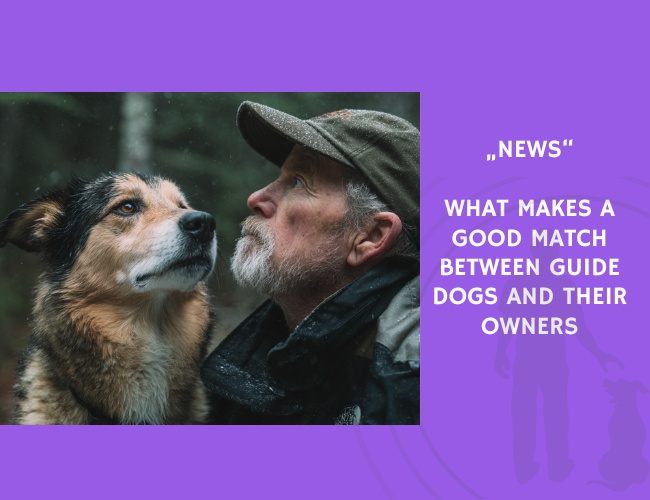 News-What Makes a Good Match Between Guide Dogs and Their Owners