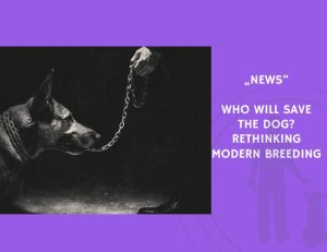 News-Who Will Save the Dog Rethinking Modern Breeding