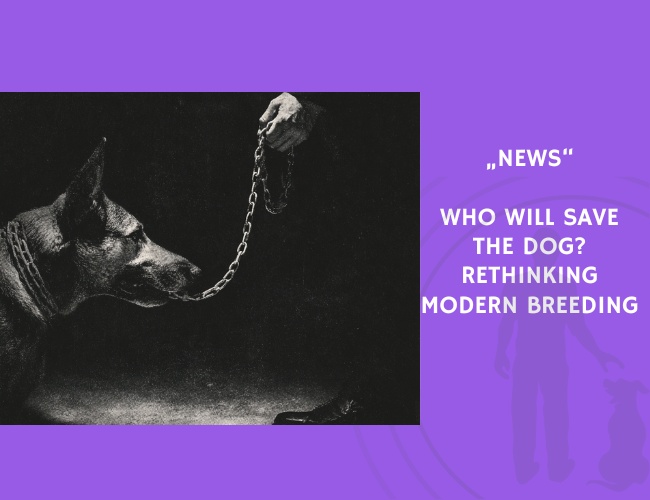 News-Who Will Save the Dog Rethinking Modern Breeding