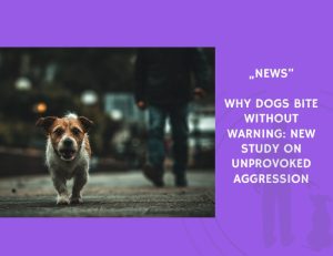 News-Why Dogs Bite Without Warning New Study on Unprovoked Aggression