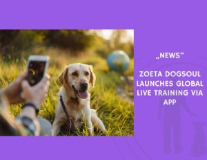 News-Zoeta Dogsoul Launches Global Live Training via App