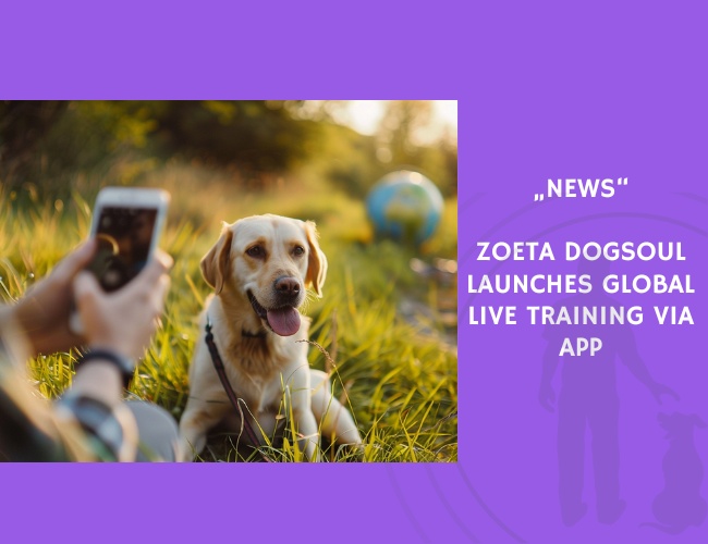 News-Zoeta Dogsoul Launches Global Live Training via App