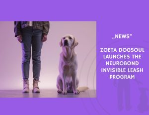 News-Zoeta Dogsoul Launches the NeuroBond Invisible Leash Program