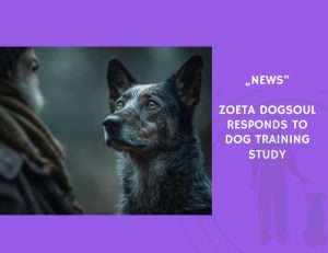 News-Zoeta Dogsoul Responds to Dog Training Study