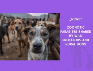 News-Zoonotic Parasites Shared by Wild Predators and Rural Dogs
