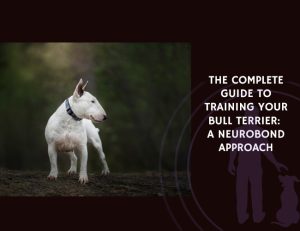 The Complete Guide to Training Your Bull Terrier A NeuroBond Approach