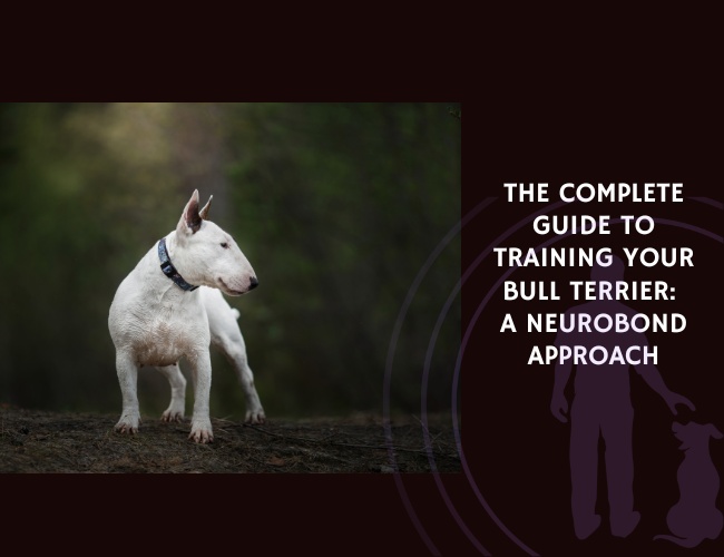The Complete Guide to Training Your Bull Terrier A NeuroBond Approach