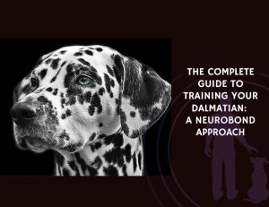 The Complete Guide to Training Your Dalmatian A NeuroBond Approach