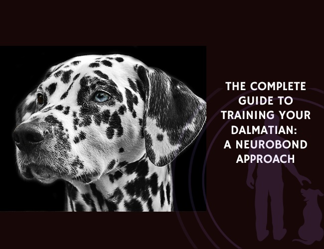 The Complete Guide to Training Your Dalmatian A NeuroBond Approach