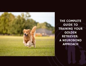The Complete Guide to Training Your Golden Retriever A NeuroBond Approach