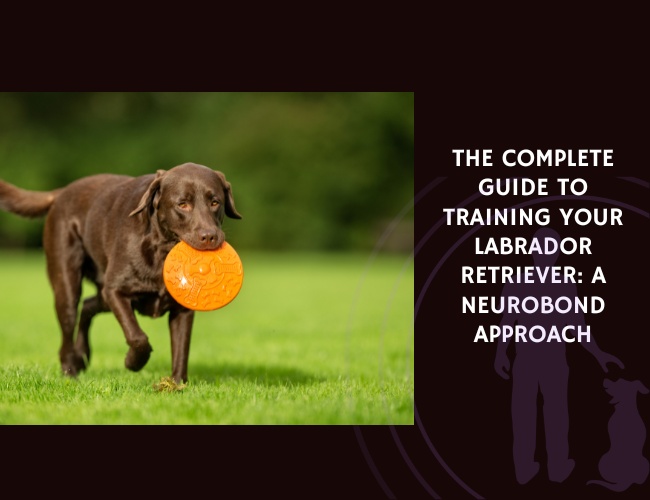 The Complete Guide to Training Your Labrador Retriever A NeuroBond Approach