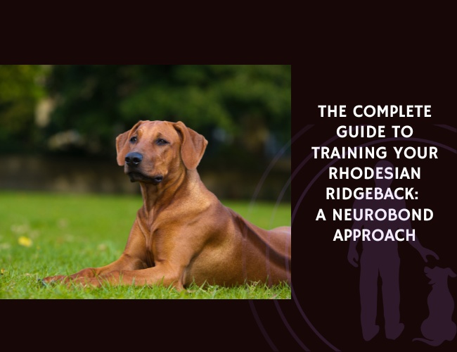 The Complete Guide to Training Your Rhodesian Ridgeback A NeuroBond Approach