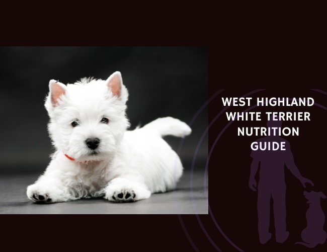 The Complete Guide to West Highland White Terrier Nutrition
