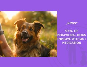 92% of Behavioral Dogs Improve Without Medication
