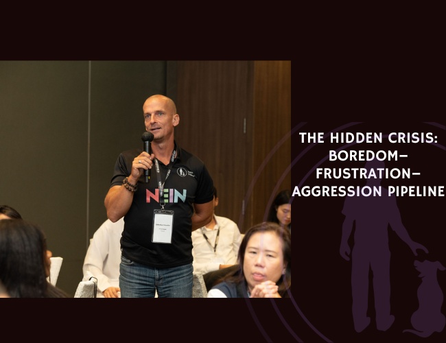 Boredom–Frustration–Aggression Pipeline