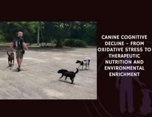 Canine Cognitive Decline - From Oxidative Stress to Therapeutic Nutrition and Environmental Enrichment