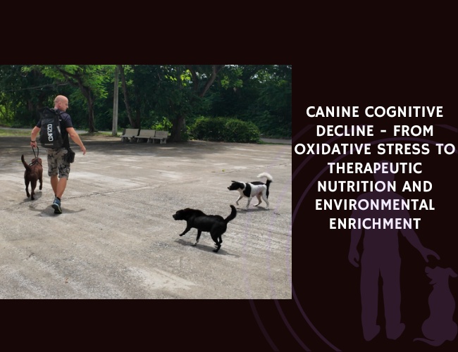 Canine Cognitive Decline - From Oxidative Stress to Therapeutic Nutrition and Environmental Enrichment