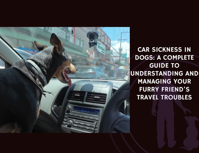 Car Sickness in Dogs A Complete Guide to Understanding and Managing Your Furry Friend's Travel Troubles