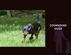 Coonhound Guide
