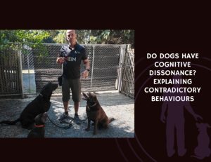 Do Dogs Have Cognitive Dissonance Explaining Contradictory Behaviours