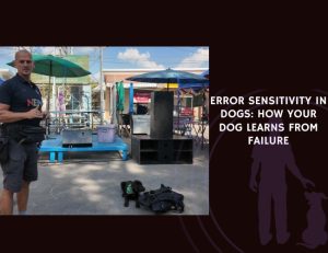 Error Sensitivity in Dogs How Your Dog Learns from Failure