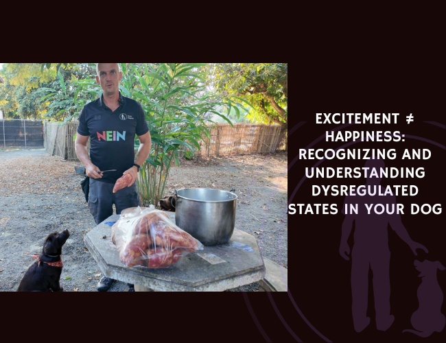 Excitement ≠ Happiness Recognizing and Understanding Dysregulated States in Your Dog