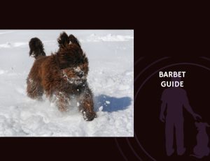 Guide to Barbet