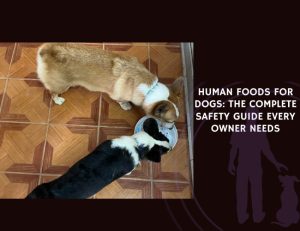 Human Foods for Dogs The Complete Safety Guide Every Owner Needs