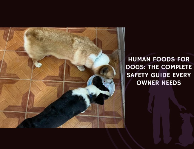 Human Foods for Dogs The Complete Safety Guide Every Owner Needs