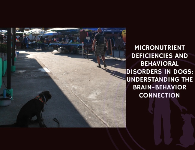 Micronutrient Deficiencies and Behavioral Disorders in Dogs