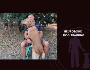 NeuroBond Dog Training