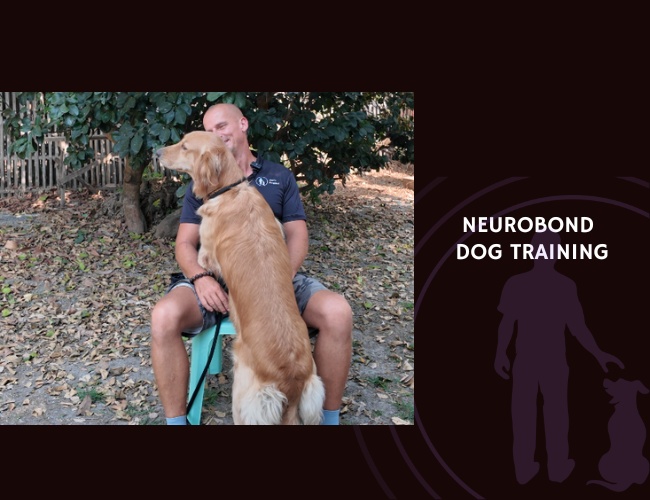 NeuroBond Dog Training